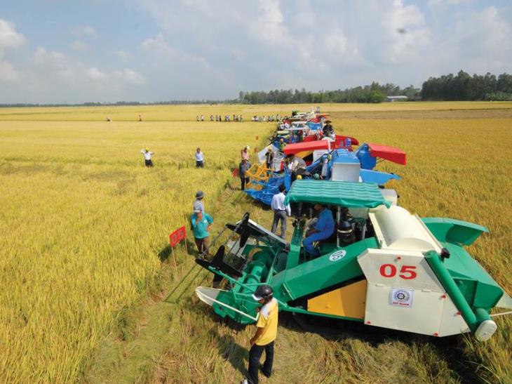 Cà Mau: 17 HTX tham gia chuỗi giá trị sản phẩm, hàng hóa chủ lực có quy mô