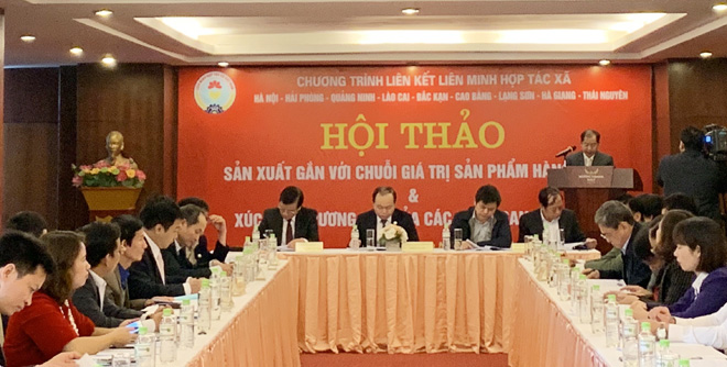 Nâng cao vai trò của HTX trong phát triển các mô hình sản xuất theo chuỗi giá trị